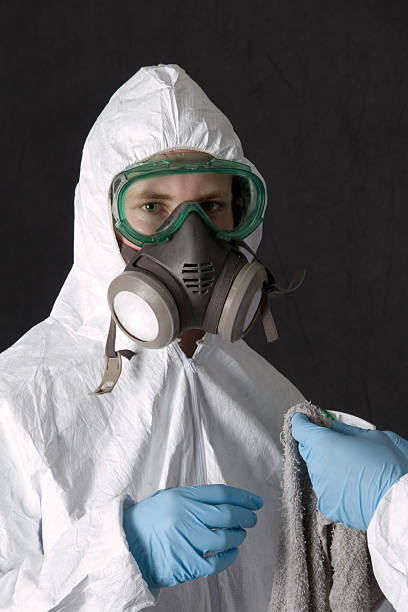 Best Attic Mold Removal  in Citrus City, TX